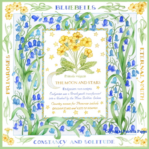 Bluebells and Primroses